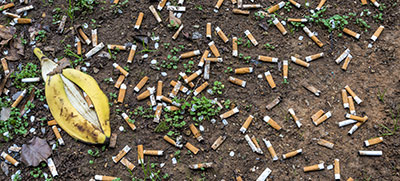 environmental consequences