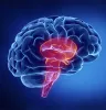 cognitive